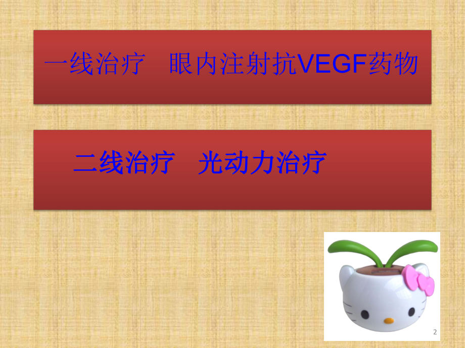 老年性黄斑变性护理医学课件.ppt_第2页