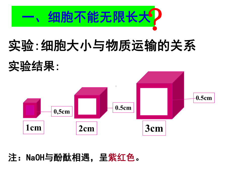 细胞增殖课件第一轮复习公开课.ppt_第3页