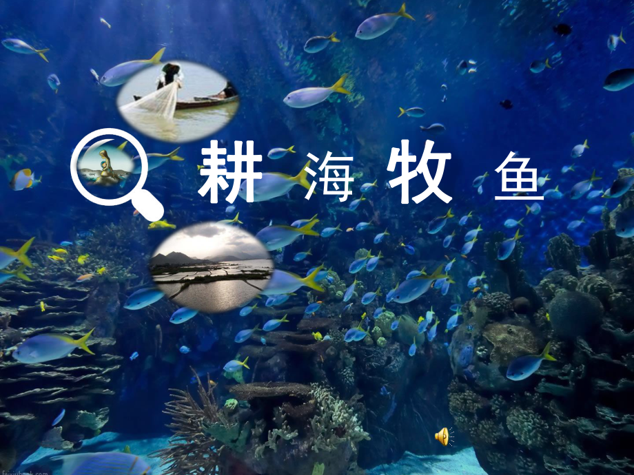 耕海牧鱼课件.ppt_第1页