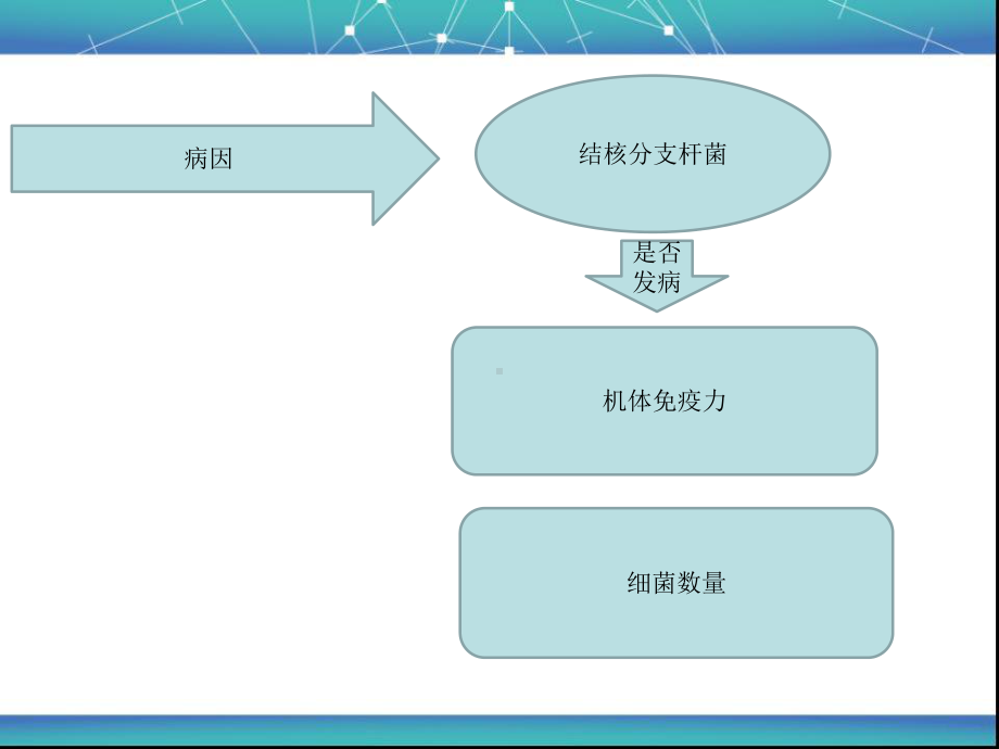 肺结核的外科治疗完整版课件.ppt_第3页