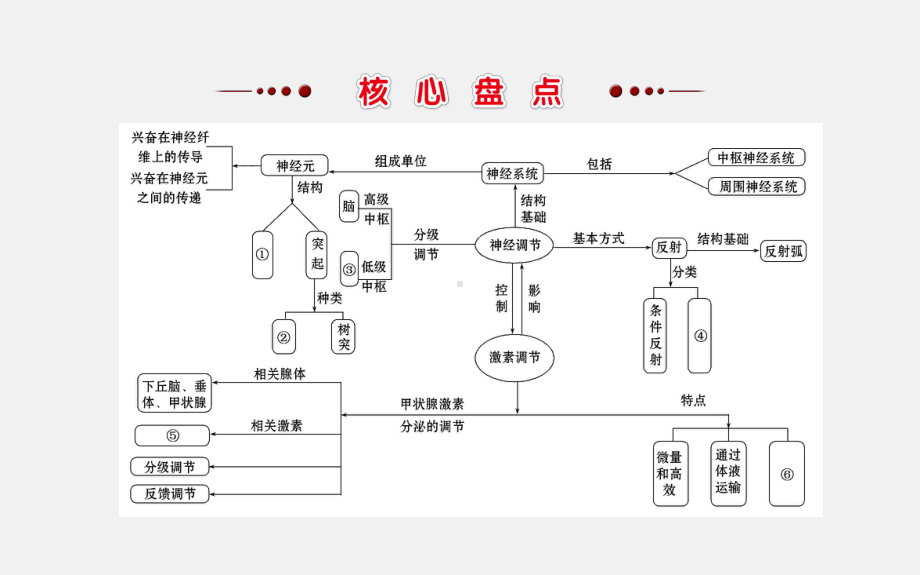 高考生物-二轮复习-专题十一-动物和人体生命活动的调节课件.ppt_第2页