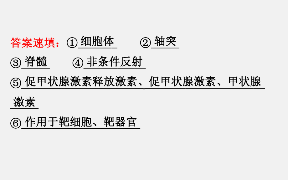 高考生物-二轮复习-专题十一-动物和人体生命活动的调节课件.ppt_第3页