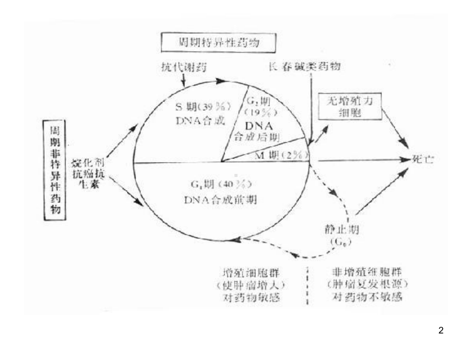 铂类化疗药浅析课件.ppt_第2页