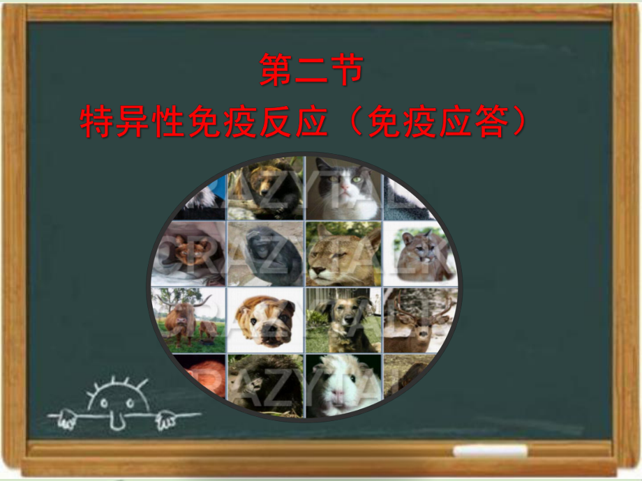 浙科版高中生物必修三《特异性反应(免疫应答)》课件-新版.ppt_第1页