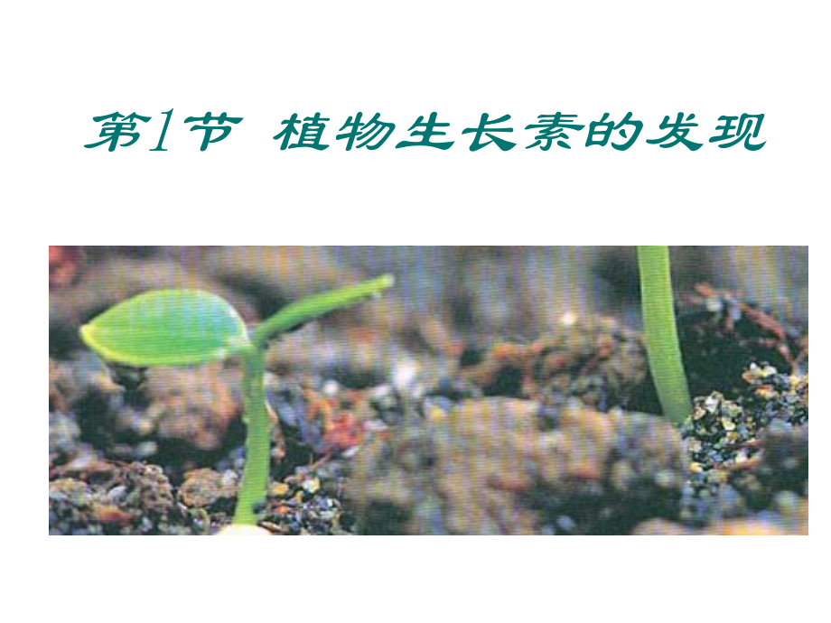 第3章-植物的激素调节-复习课件(新人教版必修3).ppt_第2页