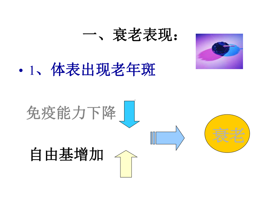 老年营养知识讲座课件.ppt_第3页