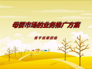 母婴市场营销方案.ppt