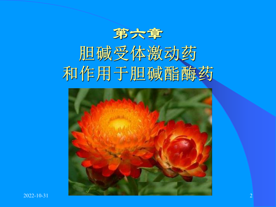 药理学课件-胆碱受体原.ppt_第2页