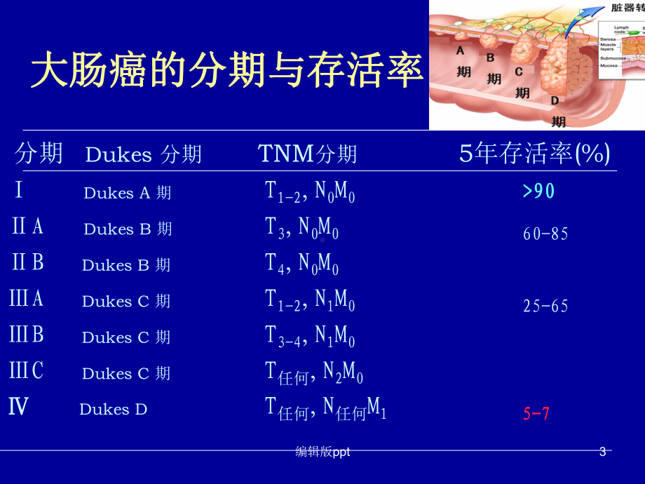 肠镜检查注意事项课件.ppt_第3页