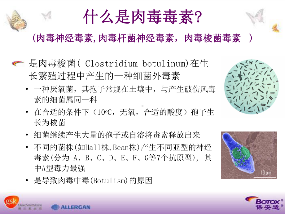 肉毒毒素基本知识课件.ppt_第3页