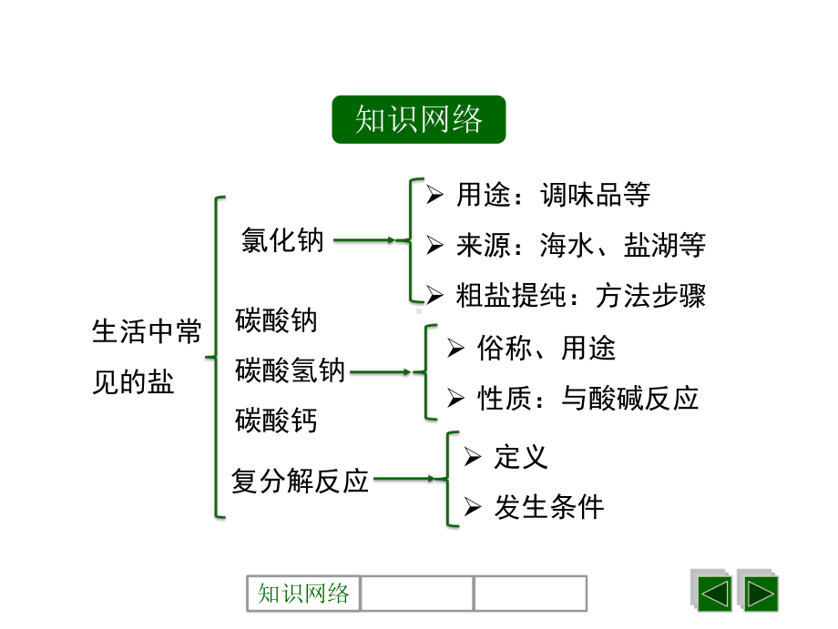 生活中常见的盐复习课件.ppt_第2页