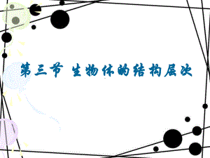 生物体的结构层次一课件.ppt