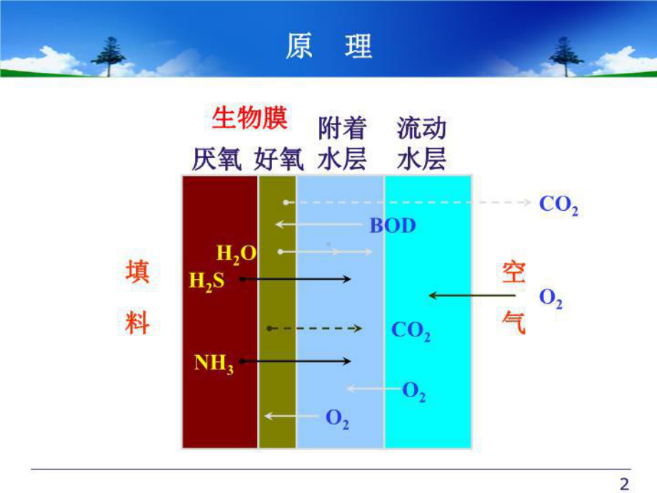 生物接触氧化法原理与设计-课件.ppt_第3页