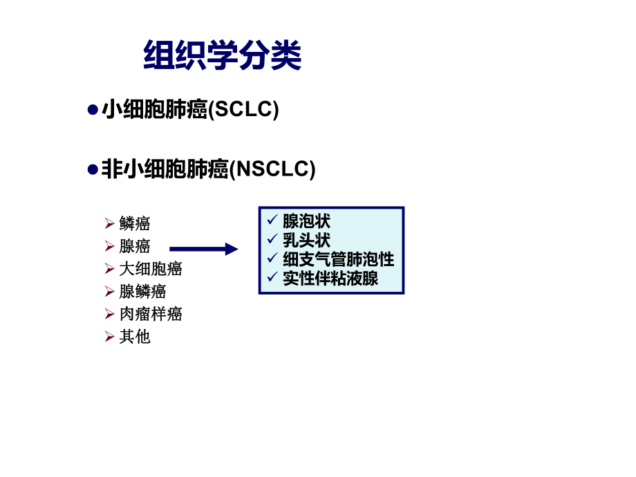 组织学分型：晚期NSCLC个体化化学治疗的首要考虑课件.ppt_第3页