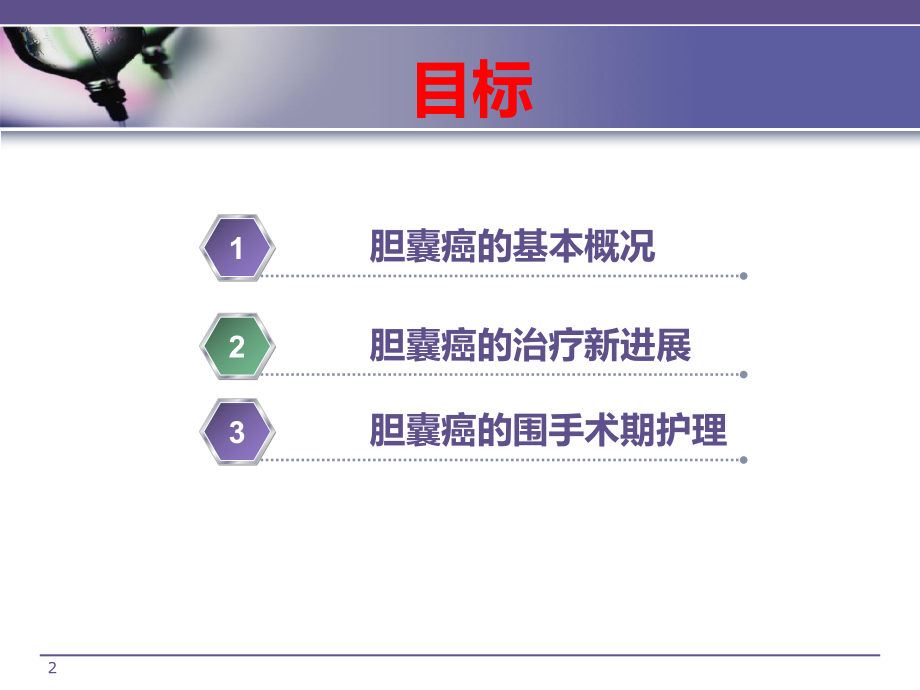 胆囊癌治疗及护理课件.ppt_第2页