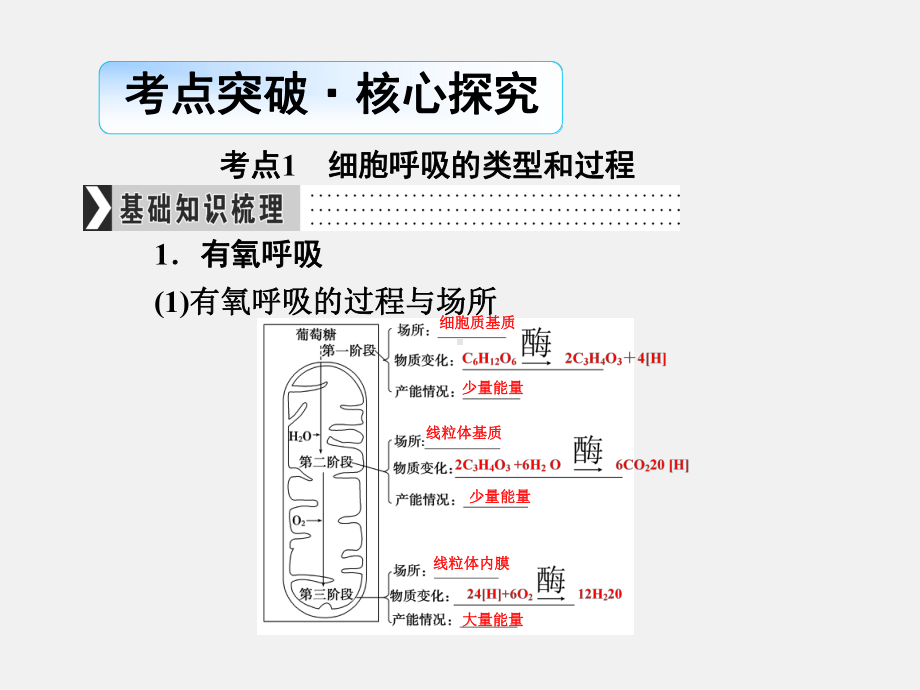 高考生物-一轮复习-第3单元-细胞的能量供应和利用-第2讲-ATP的主要来源-细胞呼吸课件.ppt_第3页