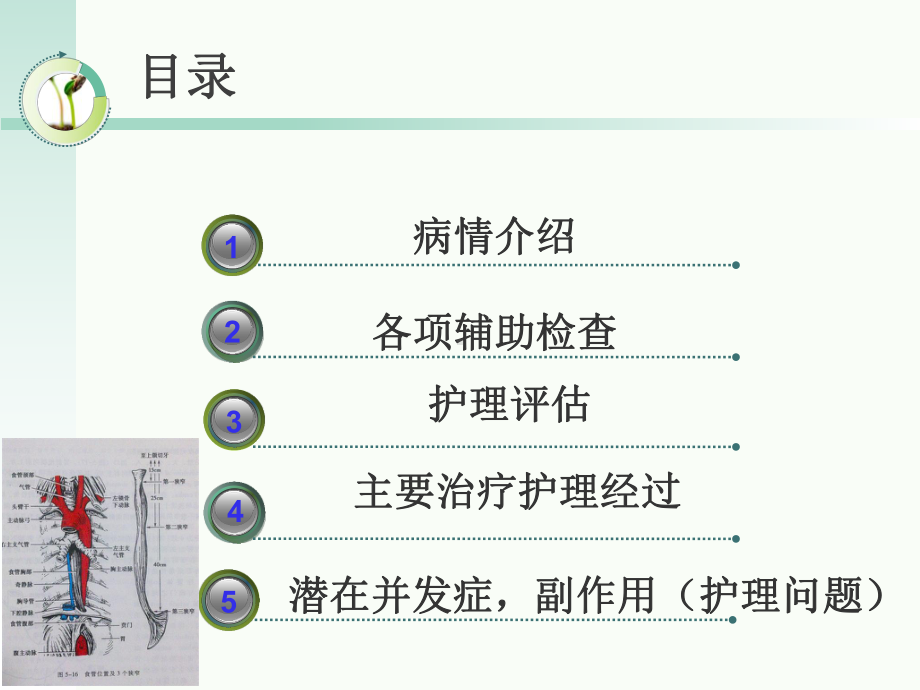 食道癌个案护理11课件.pptx_第1页