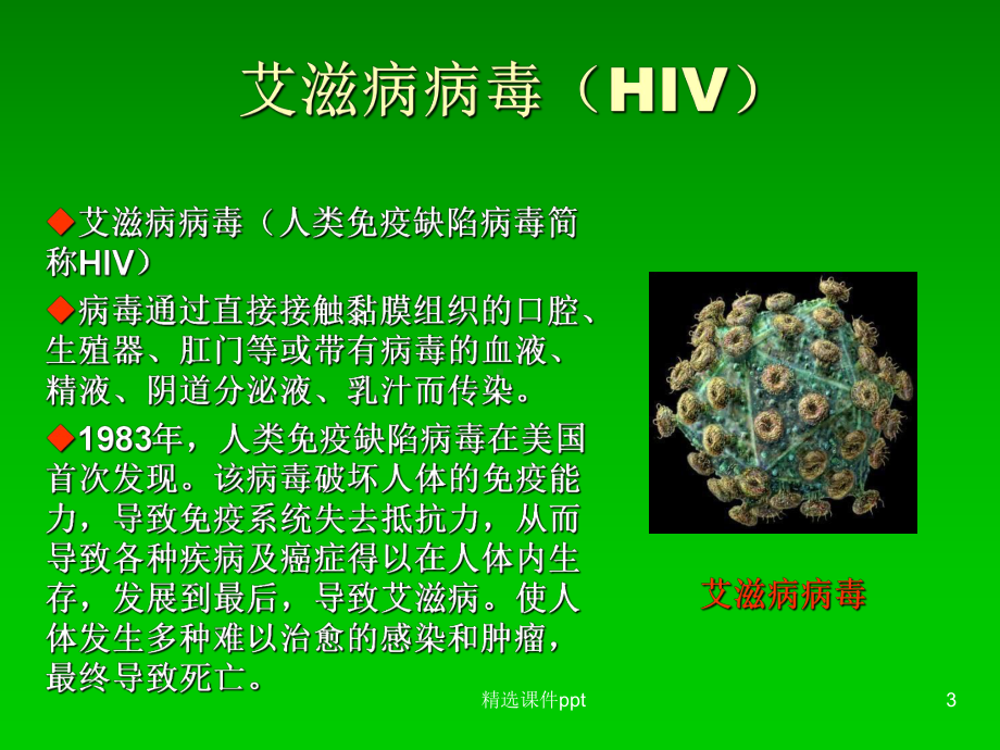 艾滋病学校课件.ppt_第3页