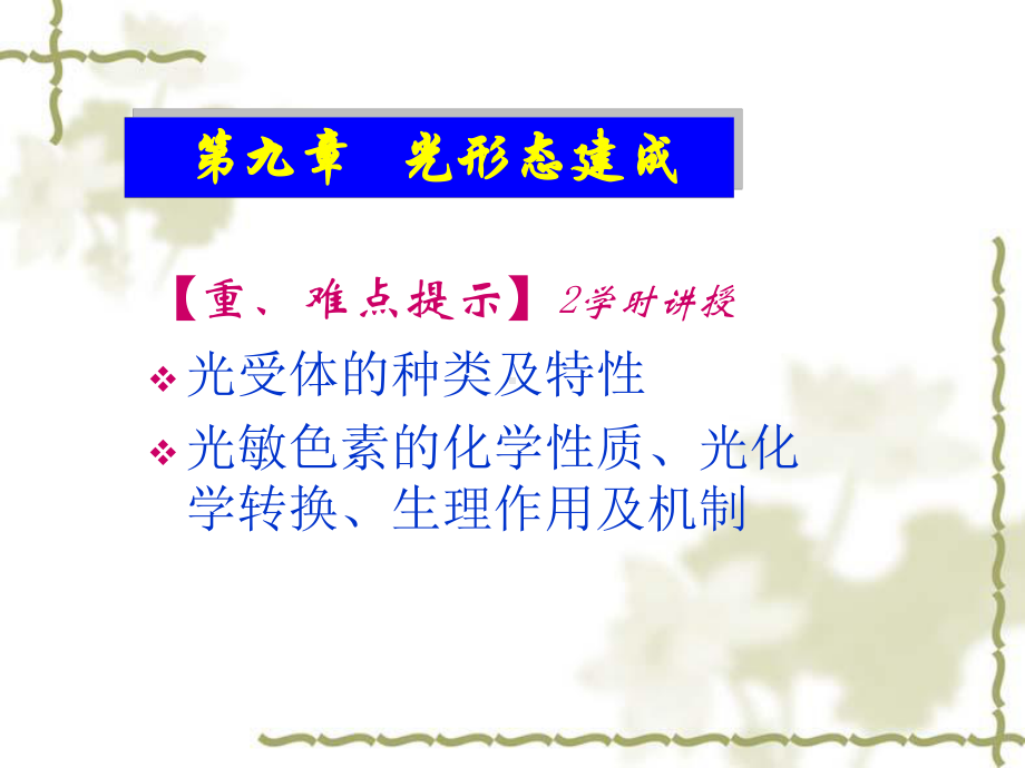 第7章光形态建成课件.ppt_第1页