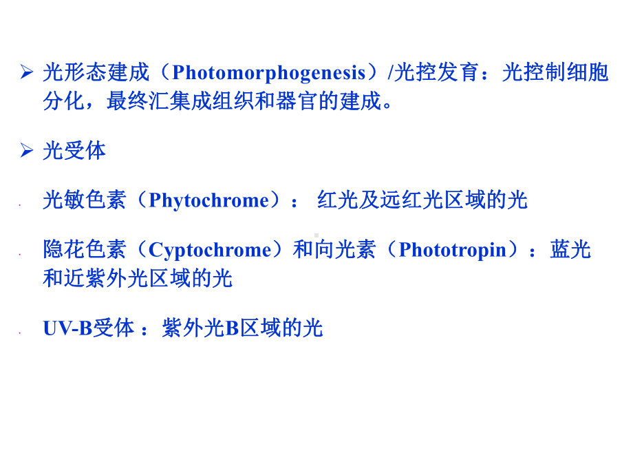 第7章光形态建成课件.ppt_第2页