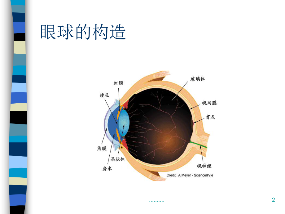 终版儿童眼保健知识课件.ppt_第2页