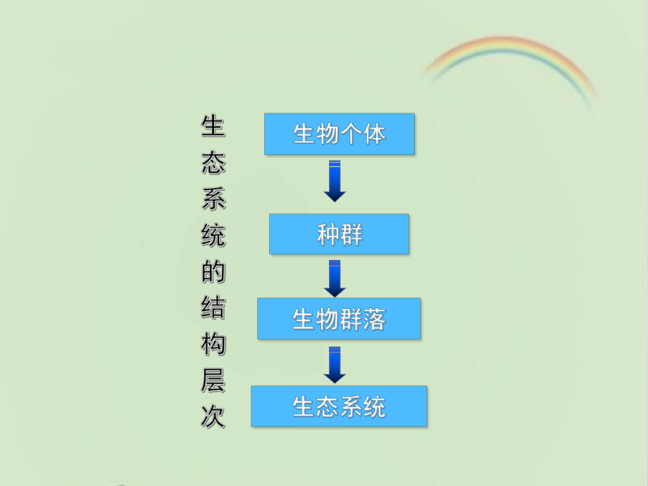 浙科版高中生物必修三《生态系统的营养结构》教学课件-新版.ppt_第3页