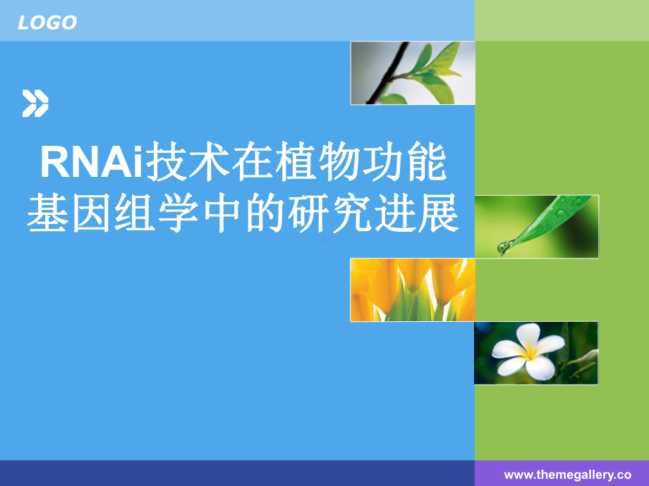 植物学RNAi技术在植物功能基因组学中的研究进展课件.ppt_第1页