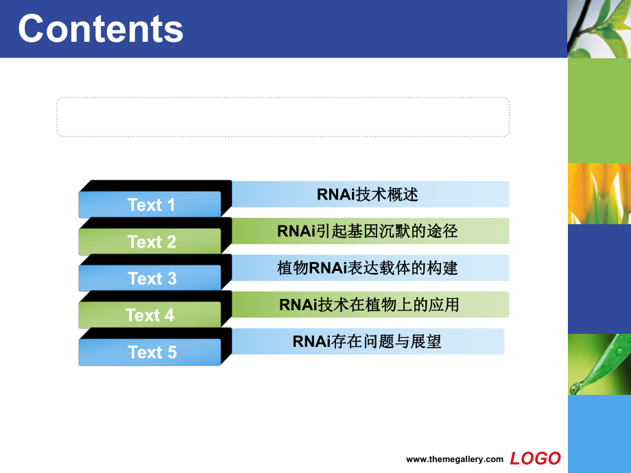 植物学RNAi技术在植物功能基因组学中的研究进展课件.ppt_第3页