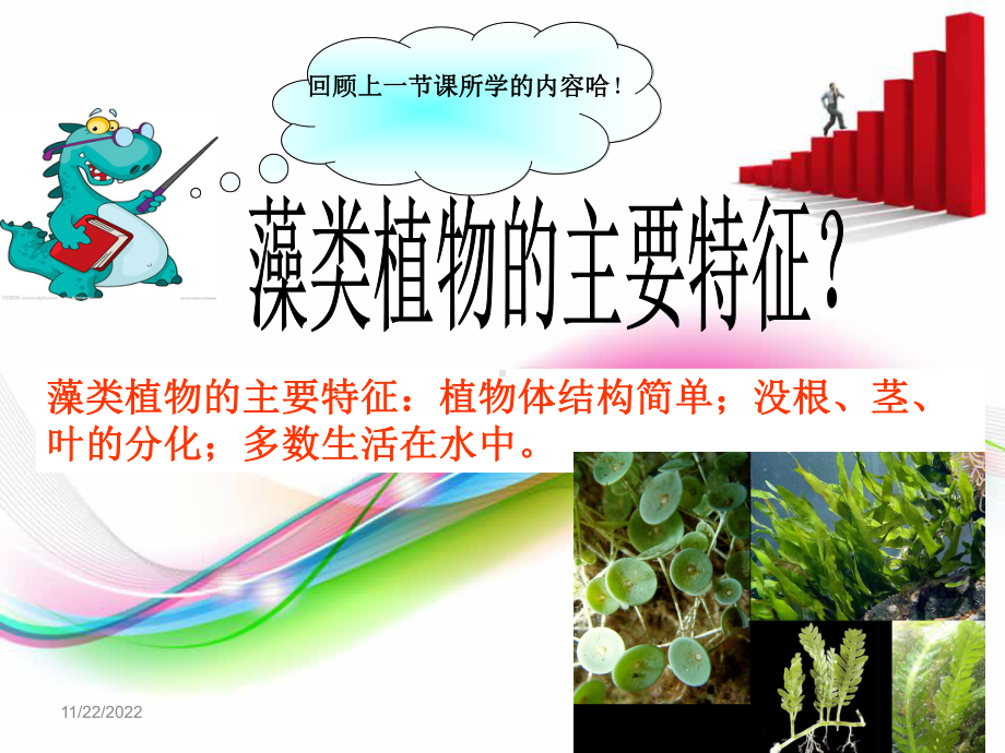 苔藓植物和蕨类植物课件.ppt_第1页