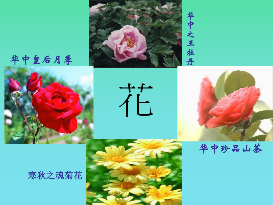 第五节植物的开花和结果苏教版课件.ppt_第2页