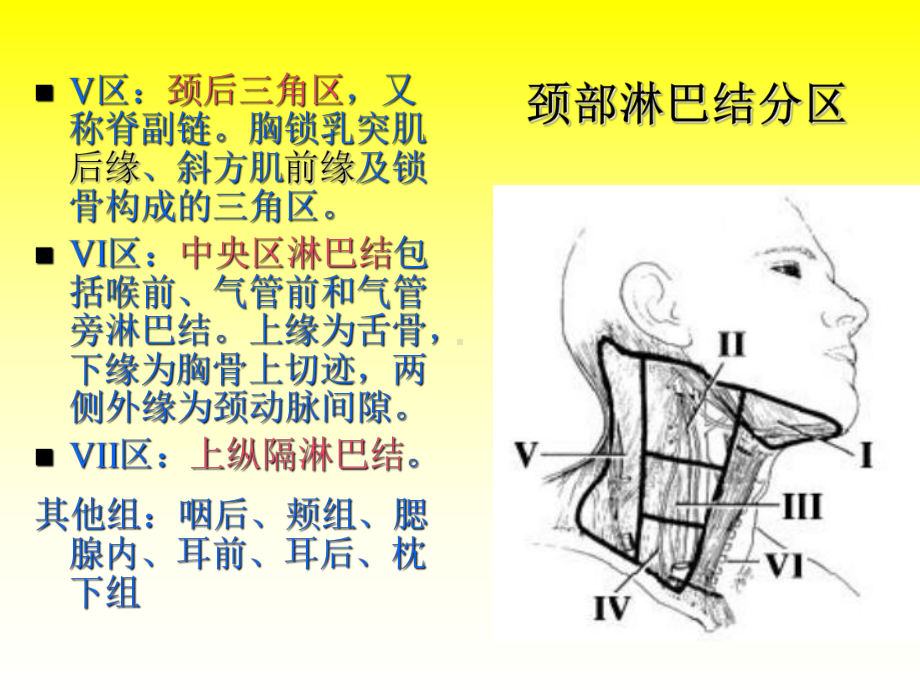 颈部淋巴结转移ct表现及鉴别诊断no1课件.ppt_第3页