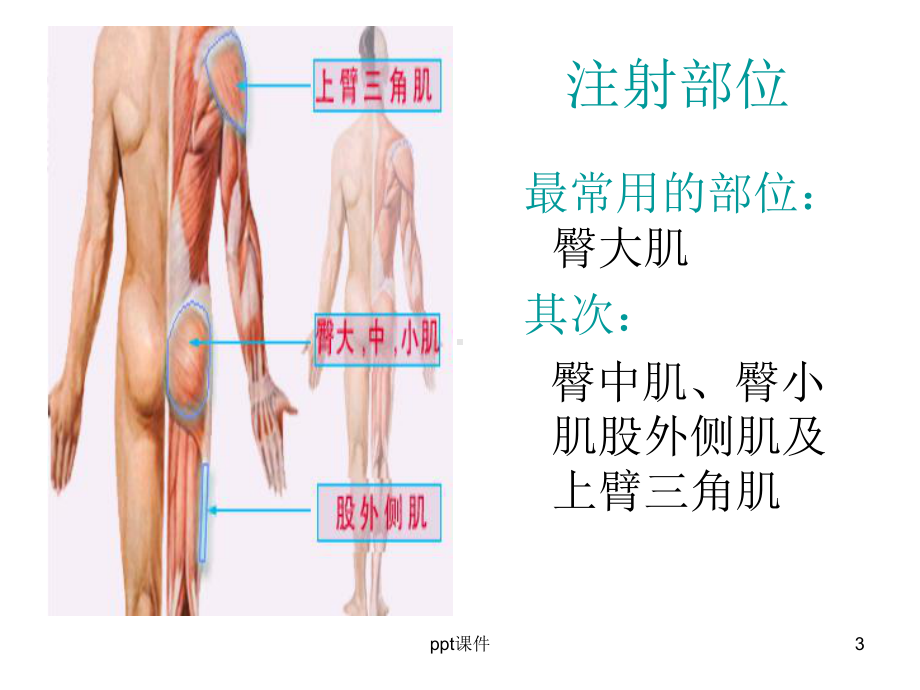 肌肉注射-课件.ppt_第3页