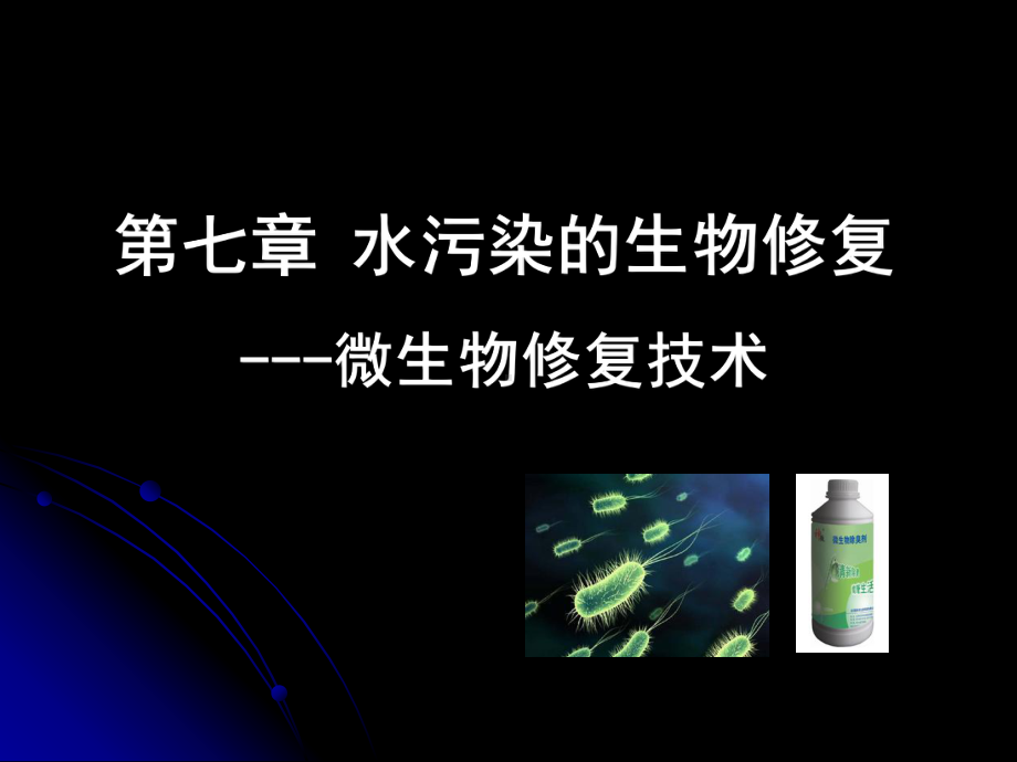 生物修复-微生物技术课件.ppt_第1页