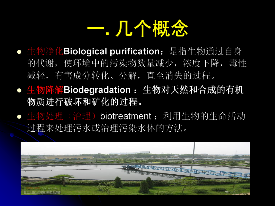 生物修复-微生物技术课件.ppt_第3页