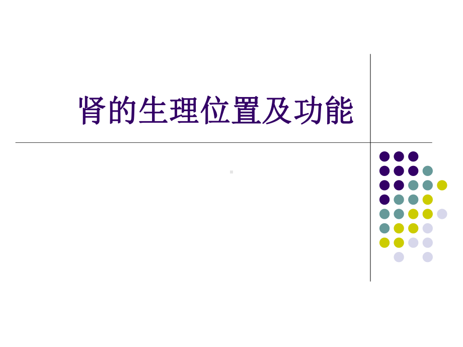 肾的生理位置及功能课件.ppt_第1页