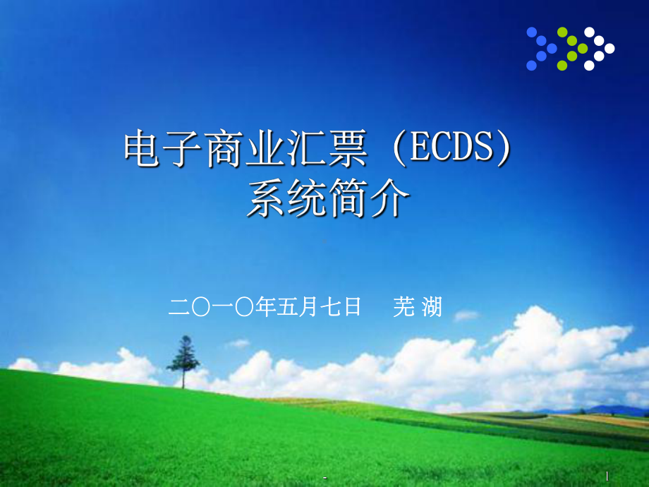 电子商票(ECDS)系统简介课件.ppt_第1页