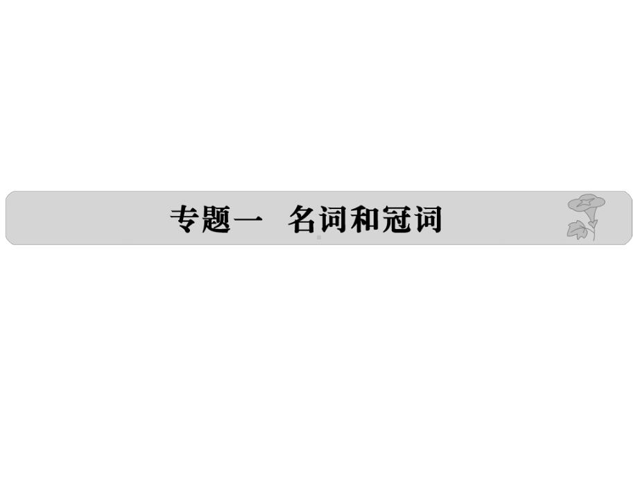 高考英语(全国通用)配套课件+配套练习：专题一-名词和冠词(含五年高考真题三年模拟一年创新)(3.ppt_第1页