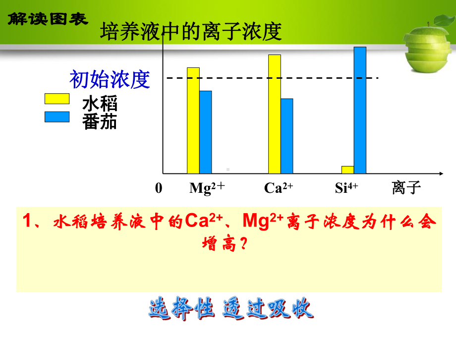 物质跨膜运输的方式(公开课)精讲课件.ppt_第1页