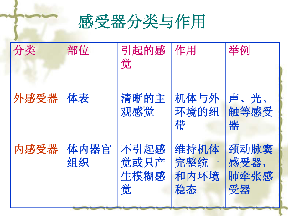 第九章感觉器课件.ppt_第3页