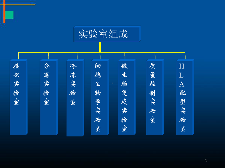 脐带血造血干细胞知识讲座医学课件.ppt_第3页