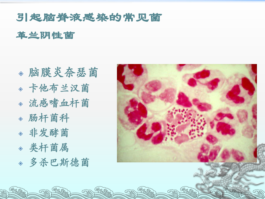 脑脊液标本的细菌学检验课件.ppt_第3页