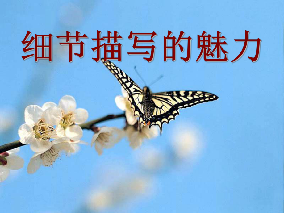 细节描写的魅力课件.ppt_第1页