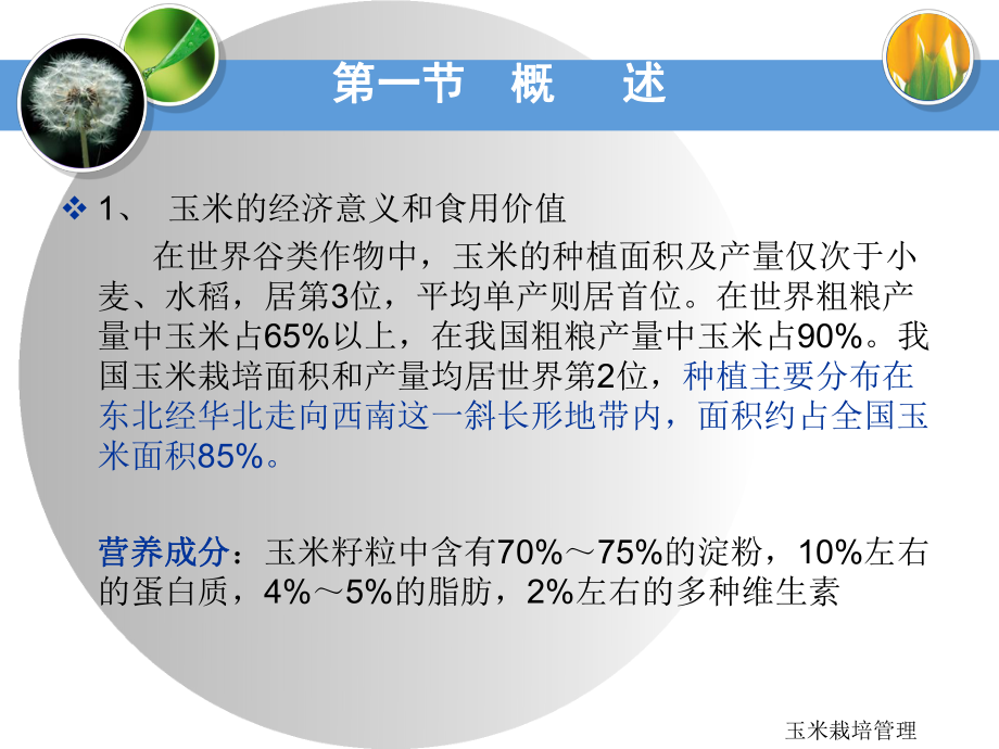 玉米高产栽培技术课件.ppt_第3页