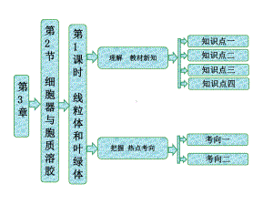 高中生物版必修一第3章《细胞的结构》课件(北师大4份)全面版.ppt