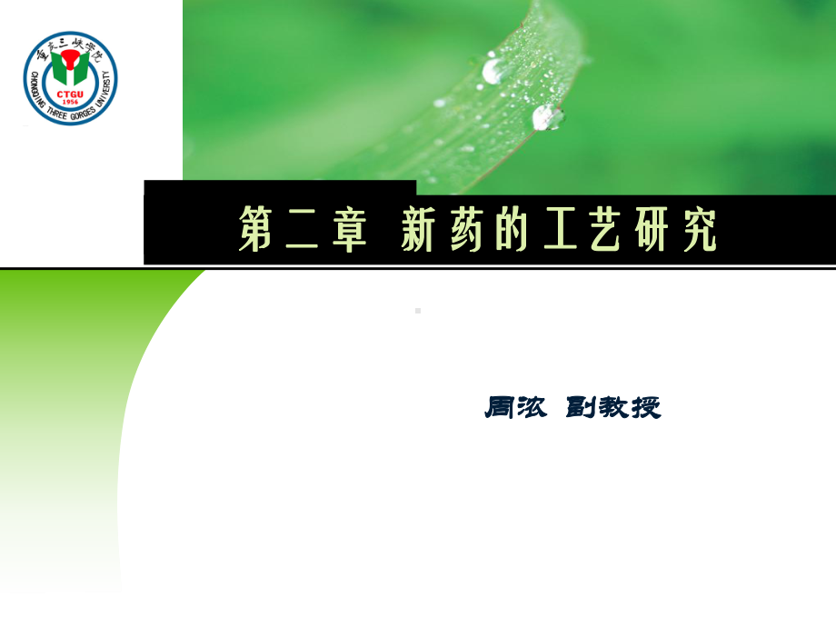 第二章新药的工艺研究课件.ppt_第1页