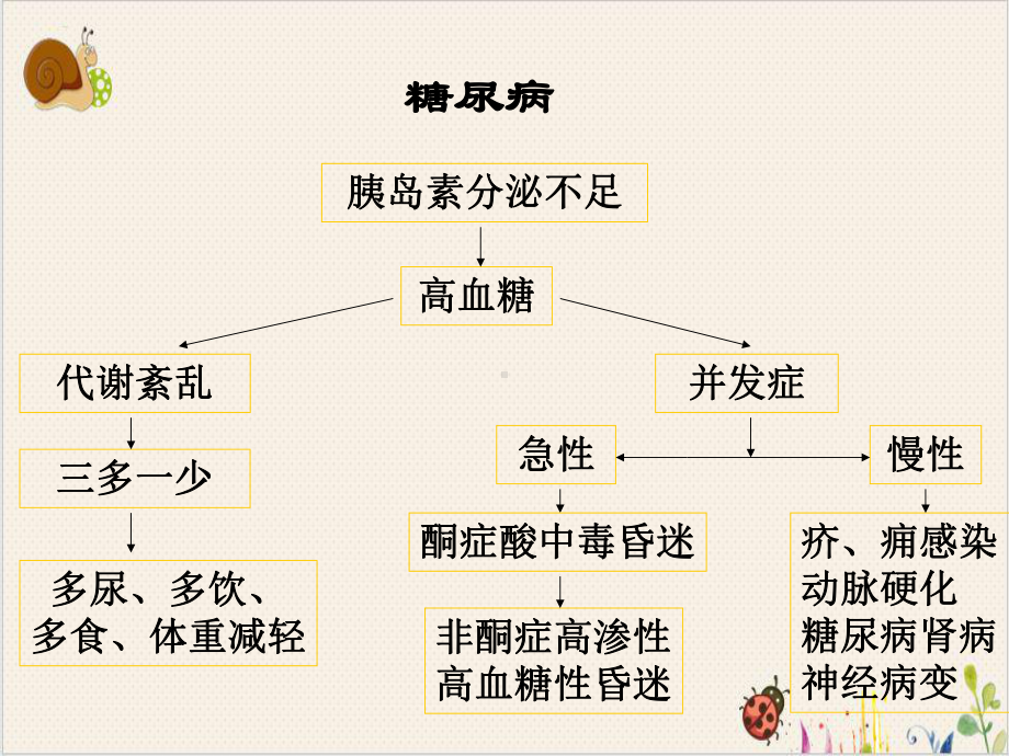 药理学胰岛素和口服抗糖尿病药课件.ppt_第3页