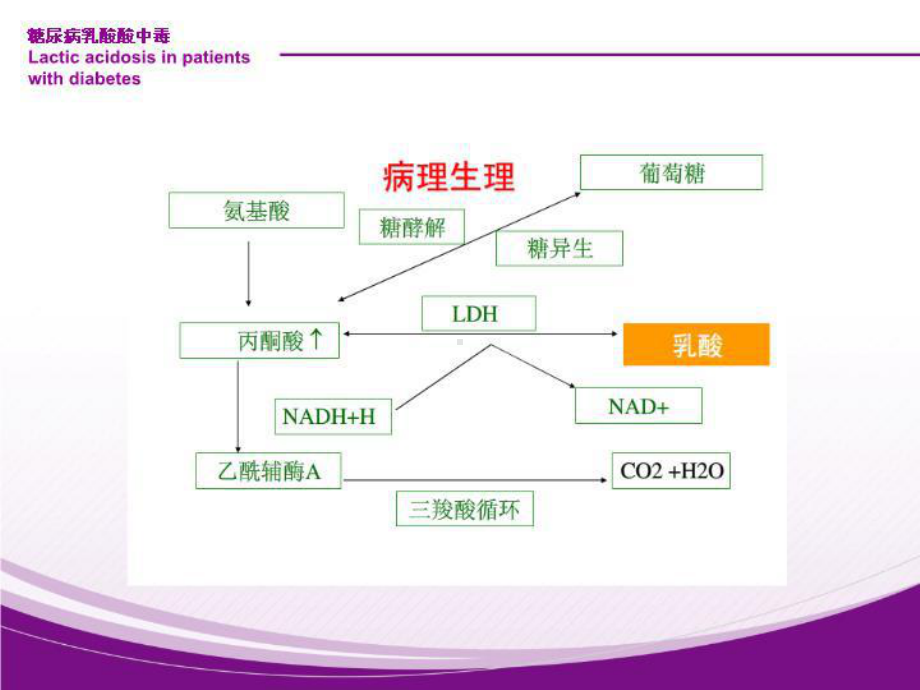 糖尿病乳酸酸中毒-课件.ppt_第3页