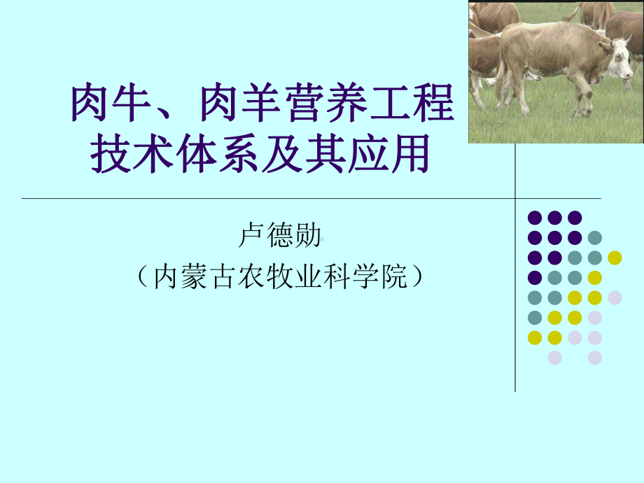 肉牛肉羊营养工程技术体系及其应用课件.ppt_第1页