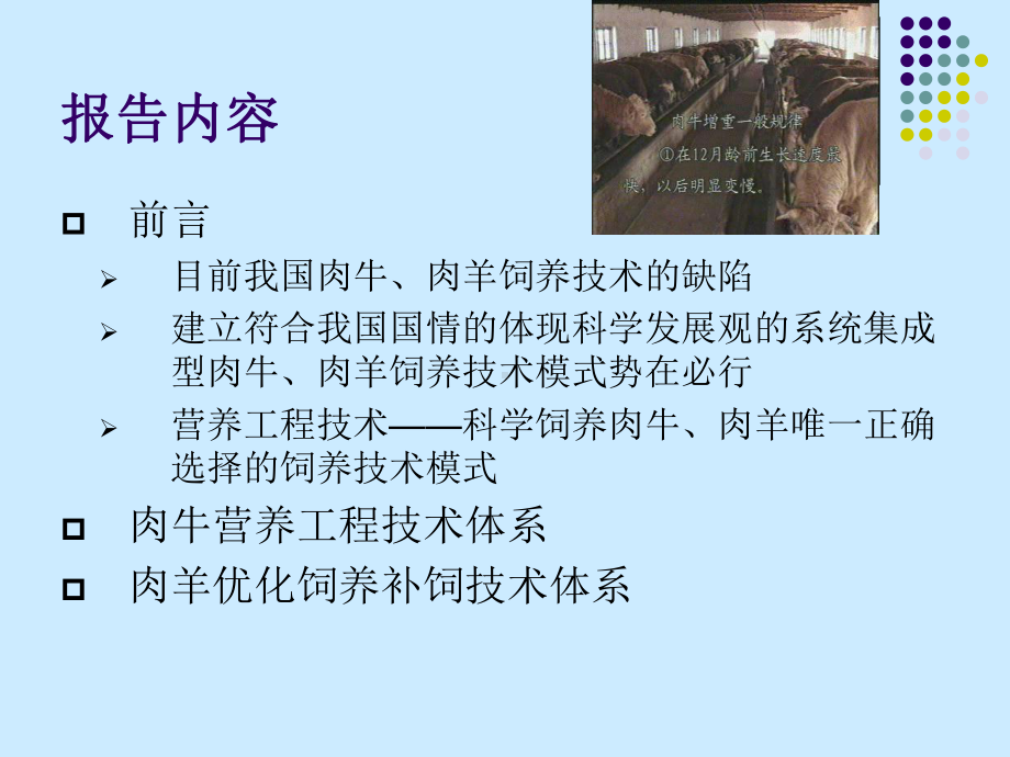 肉牛肉羊营养工程技术体系及其应用课件.ppt_第2页