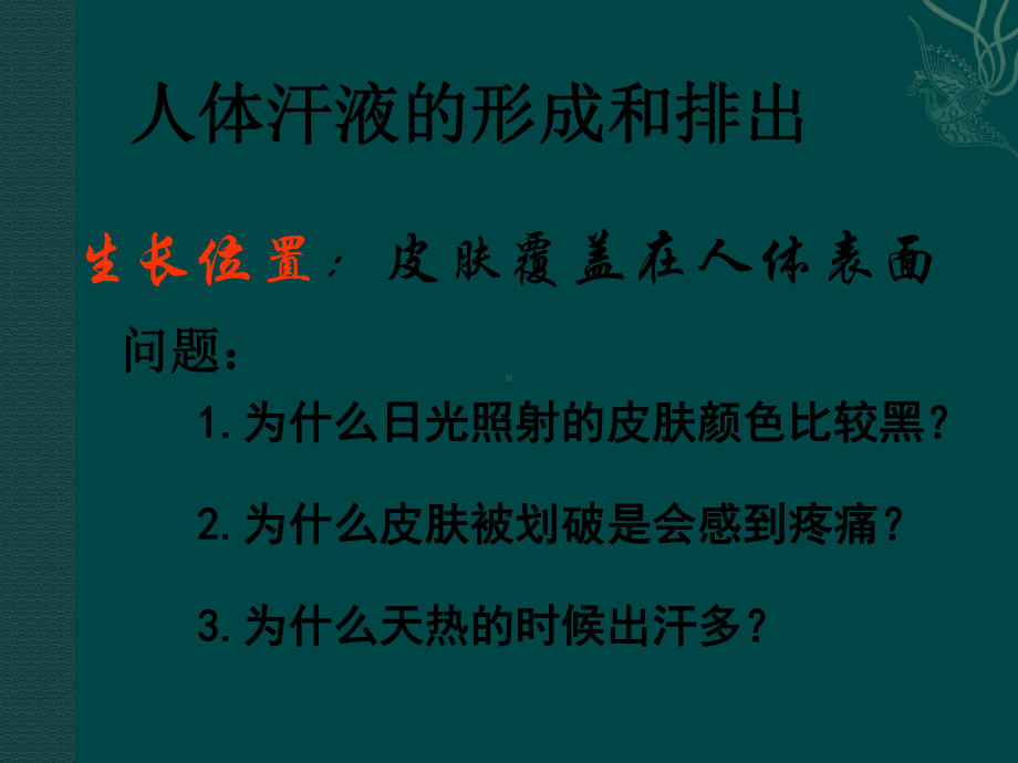 汗液的形成和排出1课件.ppt_第1页